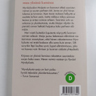 Anni Blomqvist : Hyvästi Myrskyluoto - pikkukuva 2