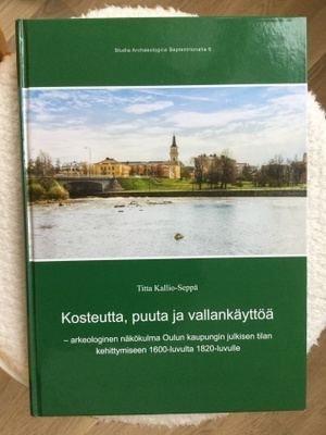 OULU Titta Kallio-Seppä, Kosteutta, puuta ja vallankäyttöä
