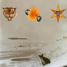 The Beta Band CD