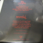 ANAL BLASPHEMY / NECROSLUT 12'' SPLIT LP UUSI - pikkukuva 2