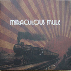 MIRACULOUS MULE: Miraculous Mule 10" + cd - pikkukuva 1