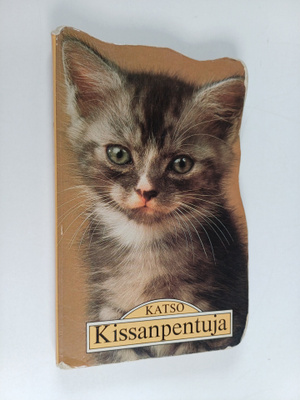 Katso kissanpentuja