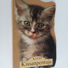 Katso kissanpentuja - pikkukuva 1