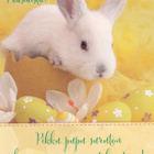 Postikortti Pääsiäinen - pikkukuva 1