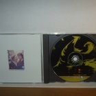 Paul Burch CD Fool For Love - pikkukuva 3