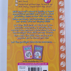 Rachel Renee Russell : Dork diaries Pop star - pikkukuva 2