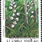 ÅL 1989 Kämmekkäkasveja 2,50 mk EP Lape 034 alareuna LOISTO - pikkukuva 1