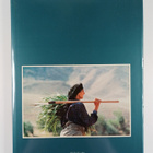 N. Kasraian : syml: shml yrn - Simal : The north of Iran - pikkukuva 2