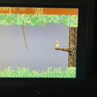 Commodore 64 / C64 Jungle Hunt - pikkukuva 3