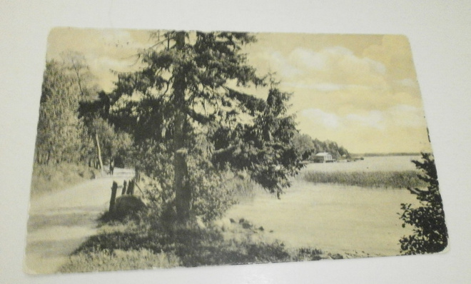 Helsinki, Meilahti, rantanäkymä, keltasävypk, p. 1918
