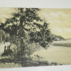 Helsinki, Meilahti, rantanäkymä, keltasävypk, p. 1918 - pikkukuva 1