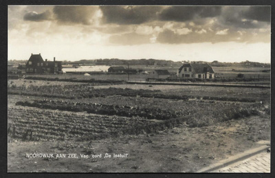 Hollanti - Noordwijk Aan-Zee