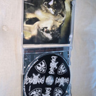 Graveland / Bialy Vitez – Ogien Wilczych Serc CD 2012 – East - pikkukuva 2