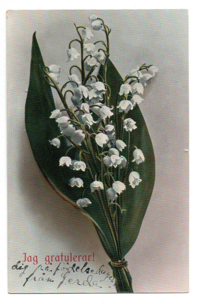 Vanha kortti, kielot