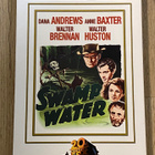 SWAMP WATER - DVD - SLIPCOVER - pikkukuva 1