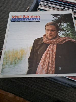 Matti Salminen: Myrskylintu