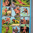 * Williams, Tarzan ja ystävät tupla-arkki * - pikkukuva 1