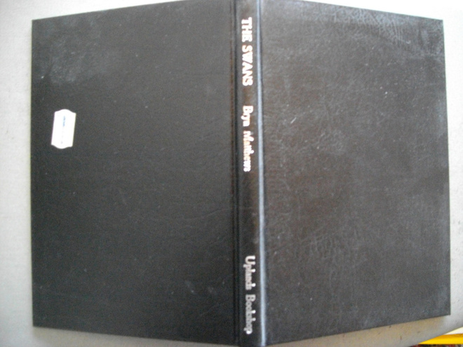 Bryn Matthews: The Swans (25.3)