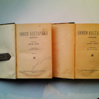 Jokai Mauri: Onnen Kultapoika I - II, vv. 1918 - 1919 - pikkukuva 2