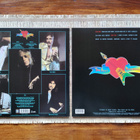 2 KPL TOM PETTY AND THE HEARTBREAKERS LP - pikkukuva 2