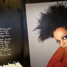DIANA ROSS  :::  SWEPT AWAY  :::  VINYYLI  LP     1984 !! - pikkukuva 3
