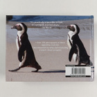 Lisa Purcell : Penguins - pikkukuva 2