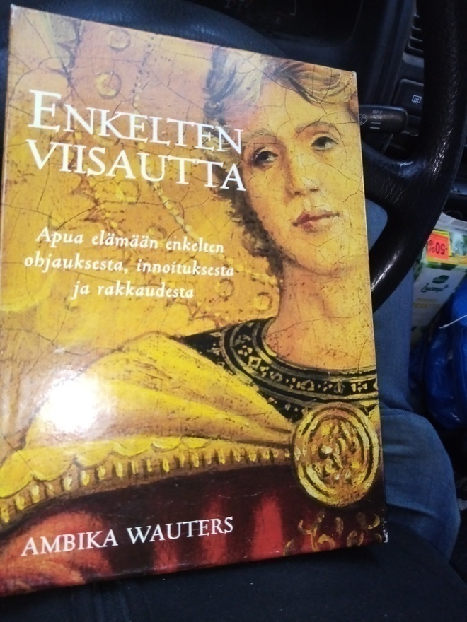WAUTERS :  ENKELTEN VIISAUTTA (  SIS POSTIKULU)