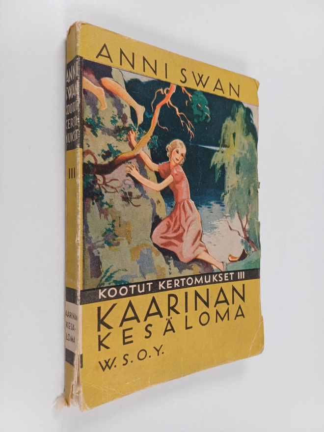 Anni Swan : Kaarinan kesäloma