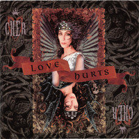 Cher - Love Hurts CD