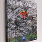 Ann Temkin : Gabriel Orozco - pikkukuva 1