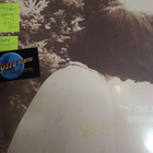SHUNKAN - THE PINK NOISE VG++/EX+ LP UK 2015 - pikkukuva 1