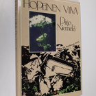 Pirjo Niemelä : Hopeinen viiva - pikkukuva 1
