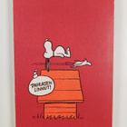 Charles M. Schulz : Älä jännitä, Jaska Jokunen - pikkukuva 2