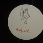 Oasis 12" 1-sided PROMO Fucking In The Bushes*kaksi NIMMARIA - pikkukuva 3