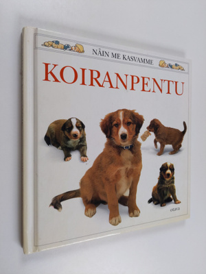 Jane Burton : Koiranpentu