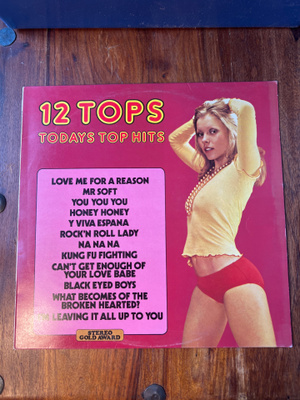 12 Tops Todays Top Hits lp
