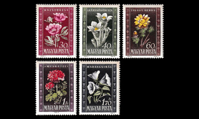 Unkari 1112-6 ** Kukkia (1950)
