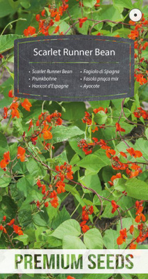 Ruusupapu Scarlet Runner Bean - siemenet #