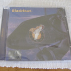 Blackfoot Flyin' High cd muoveissa - pikkukuva 1