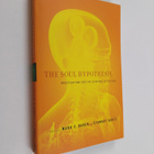 The soul hypothesis : investigations into the existence o... - pikkukuva 1