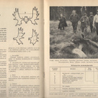 Metsästys ja Kalastus n:o 11 1964 Ilves. Ahma. Hirvieräpolku - pikkukuva 4