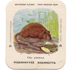 Kahvilappu PIISAMIMYYRÄ Iso kuvakoko - pikkukuva 1
