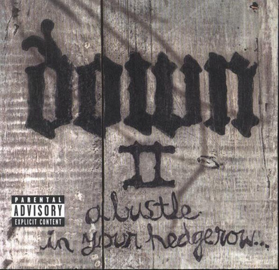 Down II - A Bustle In Your Hedgerow... (CD) NEAR MINT!!