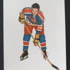 Matti Varpela Porin Karhut Champion 1966 - pikkukuva 1