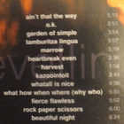 Ani Difranco: Revelling/Reckoning 2CD - pikkukuva 3