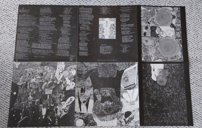 Rudimentary Peni – Death Church  LP