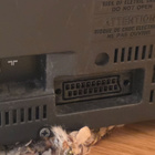 Philips 14" CRT kuvaputkitelkkari + kaukosäädin - pikkukuva 4