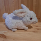 Pehmo pupu ja kaupanpäällinen - pikkukuva 1