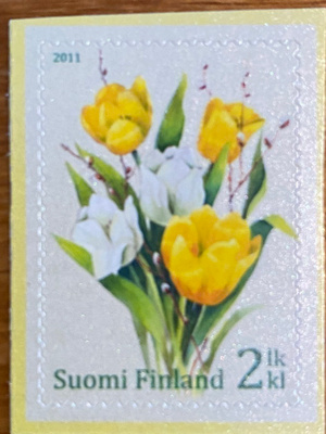 TULPPAANIKIMPPU**