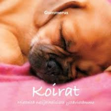 Päivi Rekiaro - Koirat mietteitä nelijalkaisista